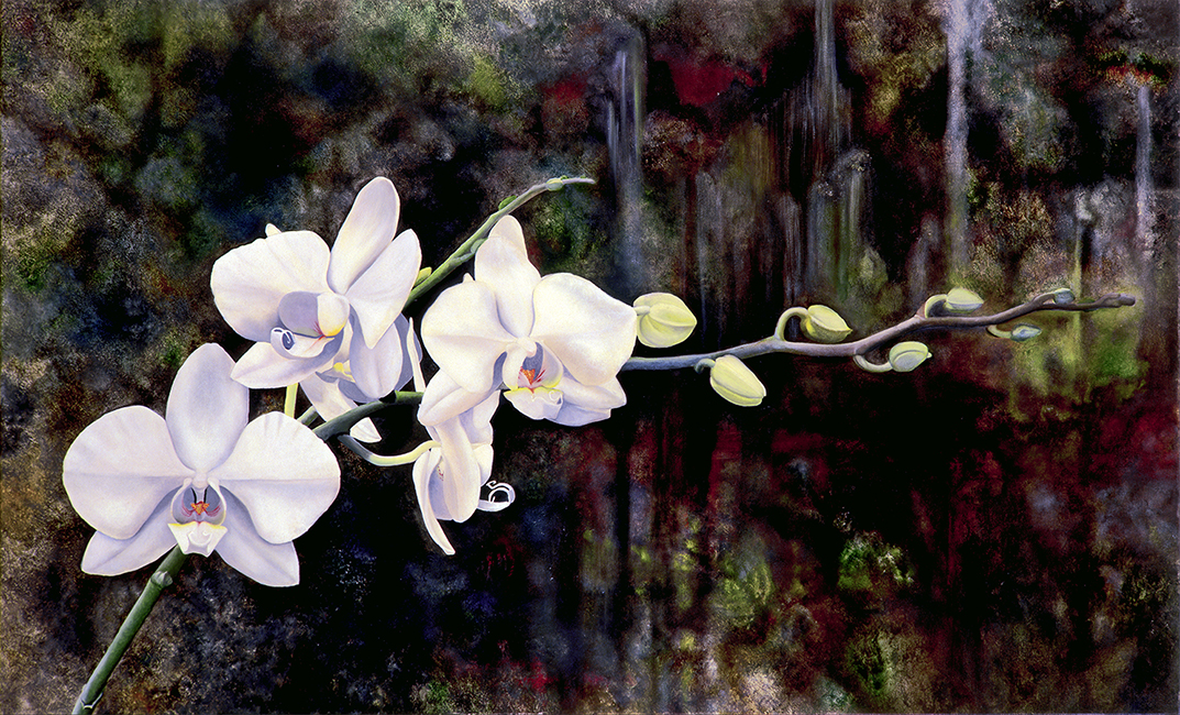 Orchids